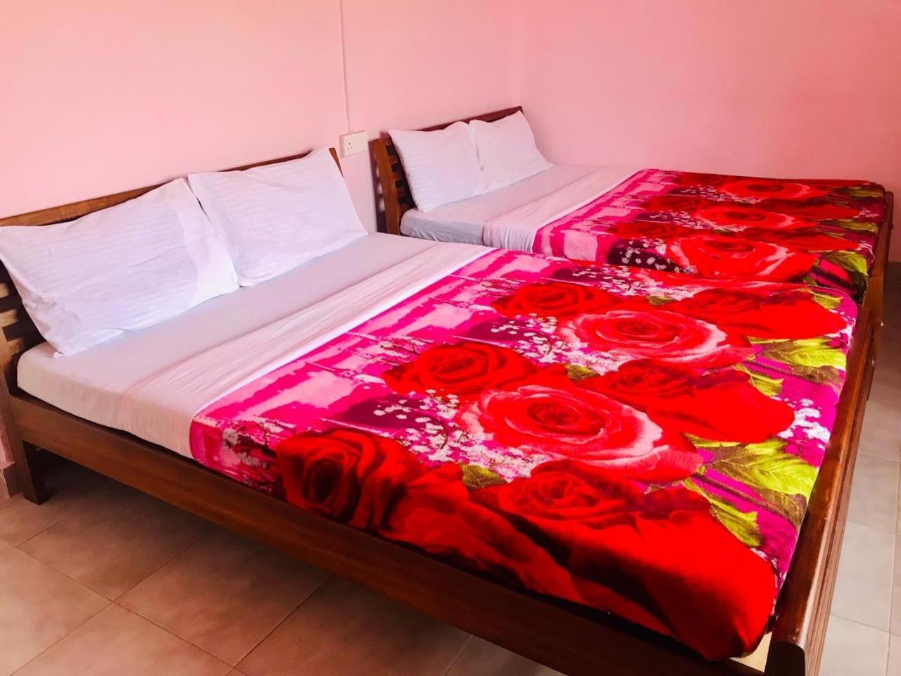 منزل الضيف نانو أويا  في Casablanka Rest المظهر الخارجي الصورة